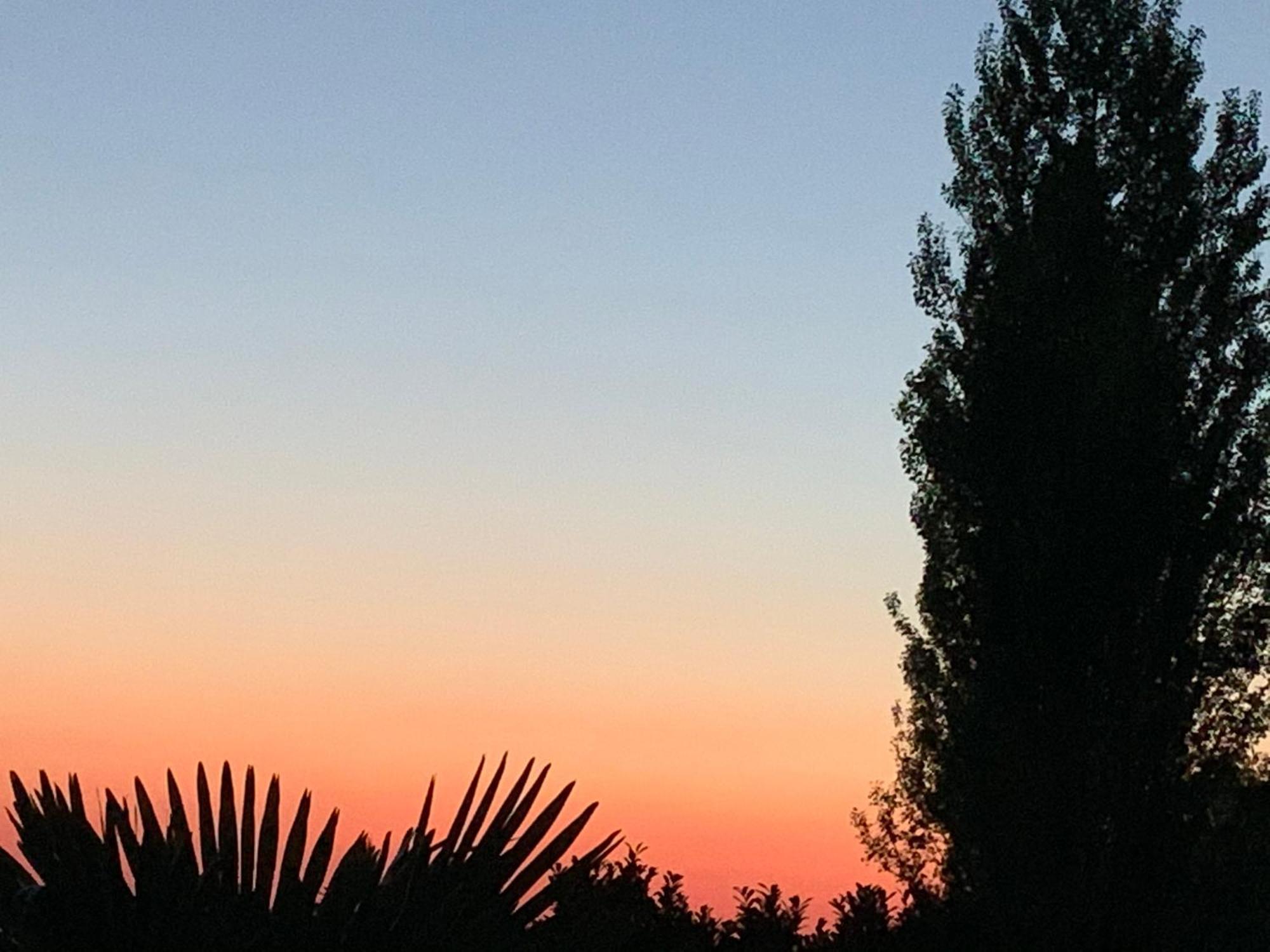 Gite Les Combes Terrasse 01340 Etrez Bresse Vallons Luaran gambar