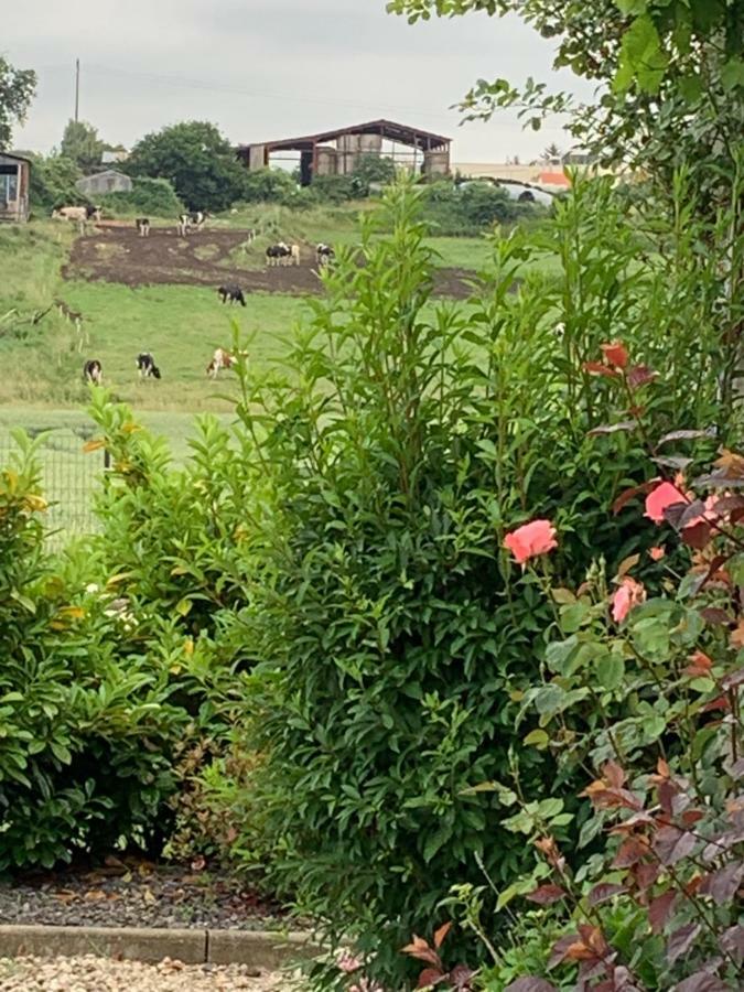 Gite Les Combes Terrasse 01340 Etrez Bresse Vallons Luaran gambar