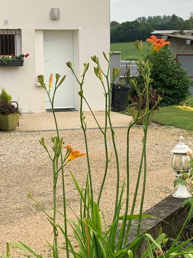 Gite Les Combes Terrasse 01340 Etrez Bresse Vallons Luaran gambar